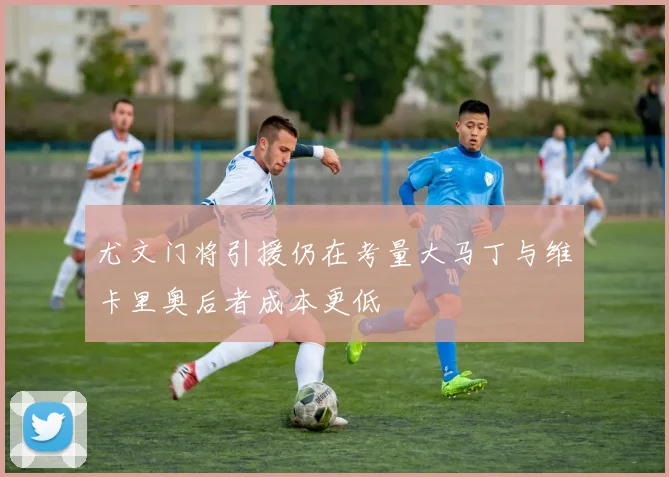 尤文门将引援仍在考量大马丁与维卡里奥后者成本更低