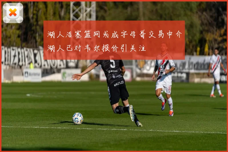 湖人活塞篮网或成字母哥交易中介湖人已对韦尔报价引关注